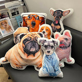 Custom pillow pet photos