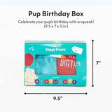 PET PUP BIRTHDAY BOX GIFTS