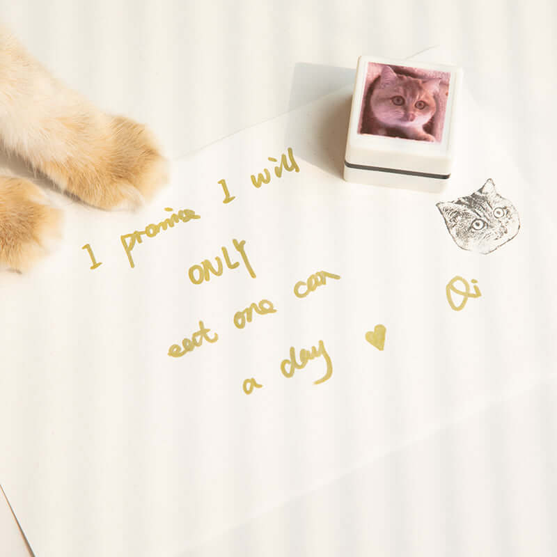 Custom-Made Personalized Cat Portrait Stamp – CatCurio Pet Store