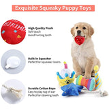 Pet Birthday Gift Plush Toy Set (Set of 6)