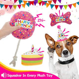 Pet dog birthday cake party toy gift set box