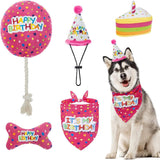 Pet dog birthday cake party toy gift set box