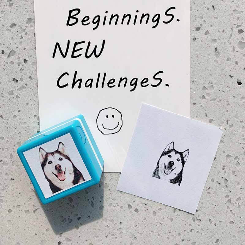 Custom-Made Pet Portrait Stamp DIY For Dog Figure Seal Personalized Cat  Doggy Cuztomized Memento Chapter for Bookkeeping