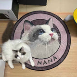Custom carpet pet images name